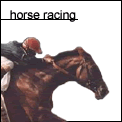 You think you know Horse Racing?